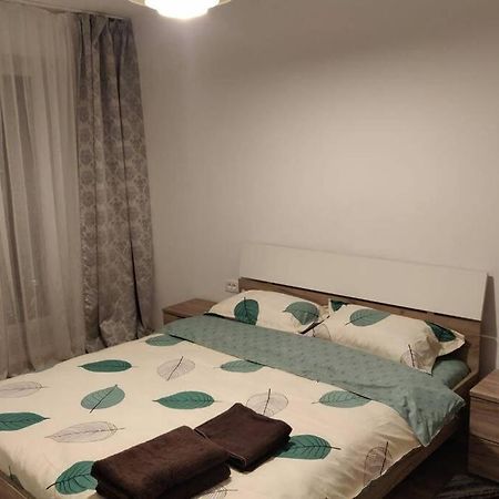 Home Coressi براشوف المظهر الخارجي الصورة