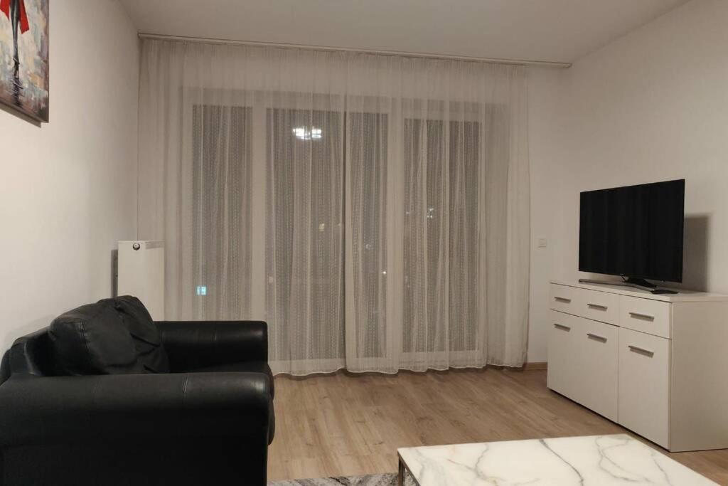 Home Coressi براشوف المظهر الخارجي الصورة