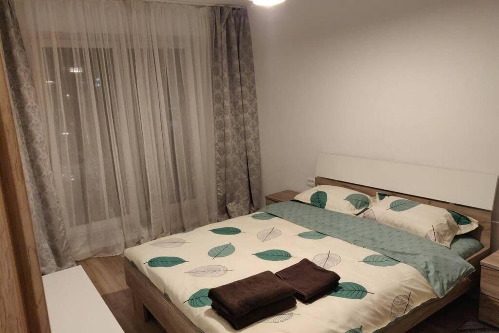 Home Coressi براشوف المظهر الخارجي الصورة