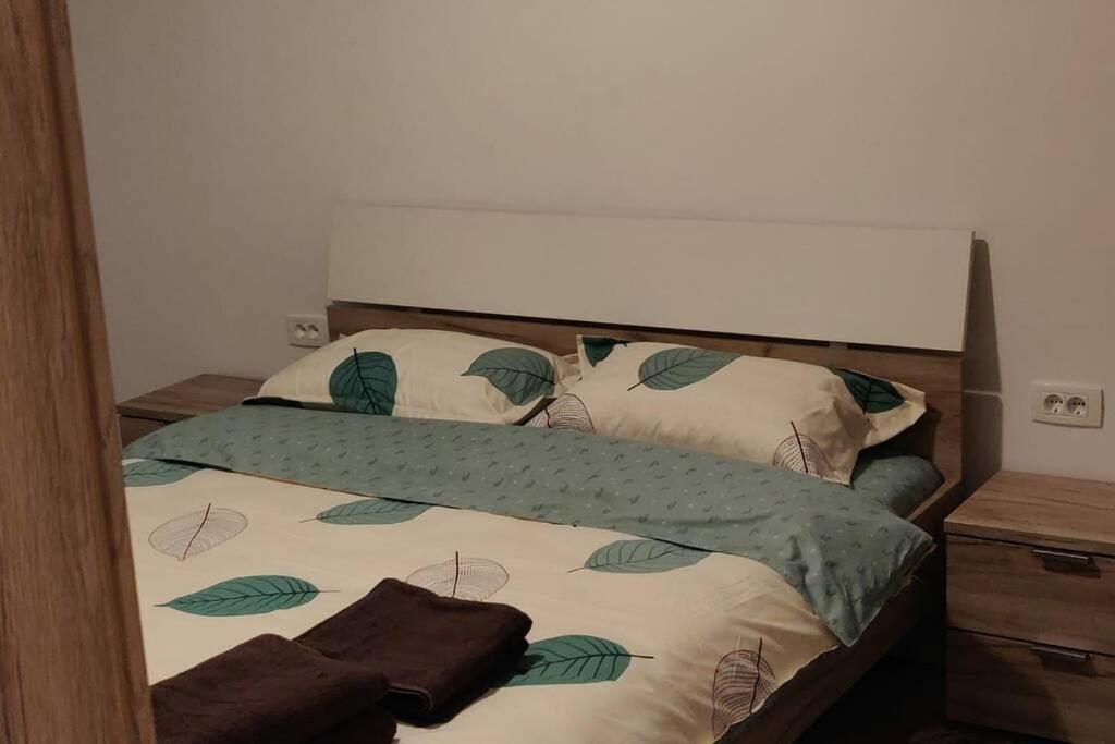 Home Coressi براشوف المظهر الخارجي الصورة